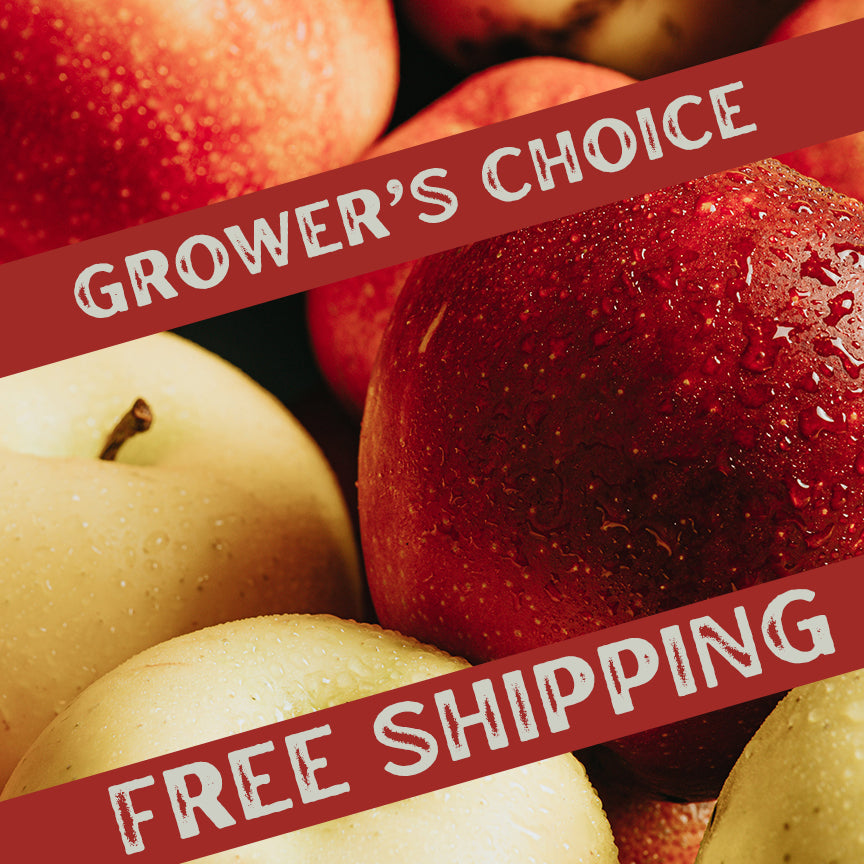 Mixed Apple Gift Box - Grower's Choice